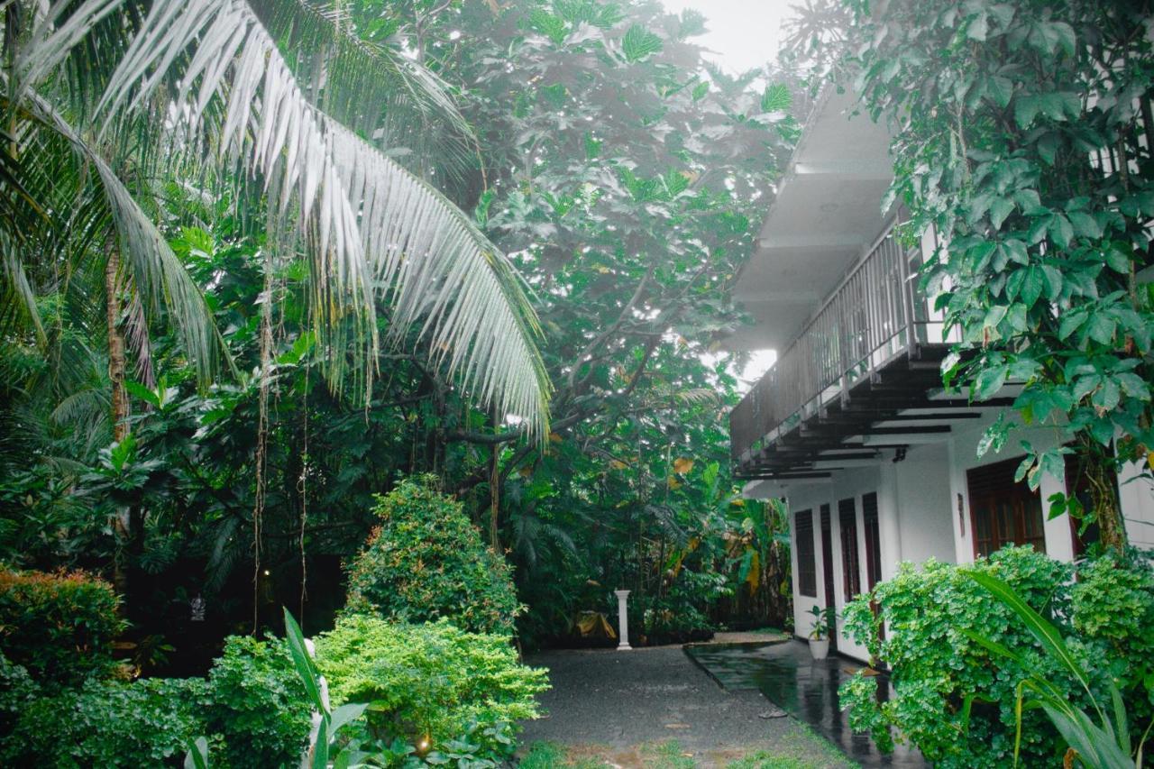 Bananas Mirissa Hotel Екстериор снимка